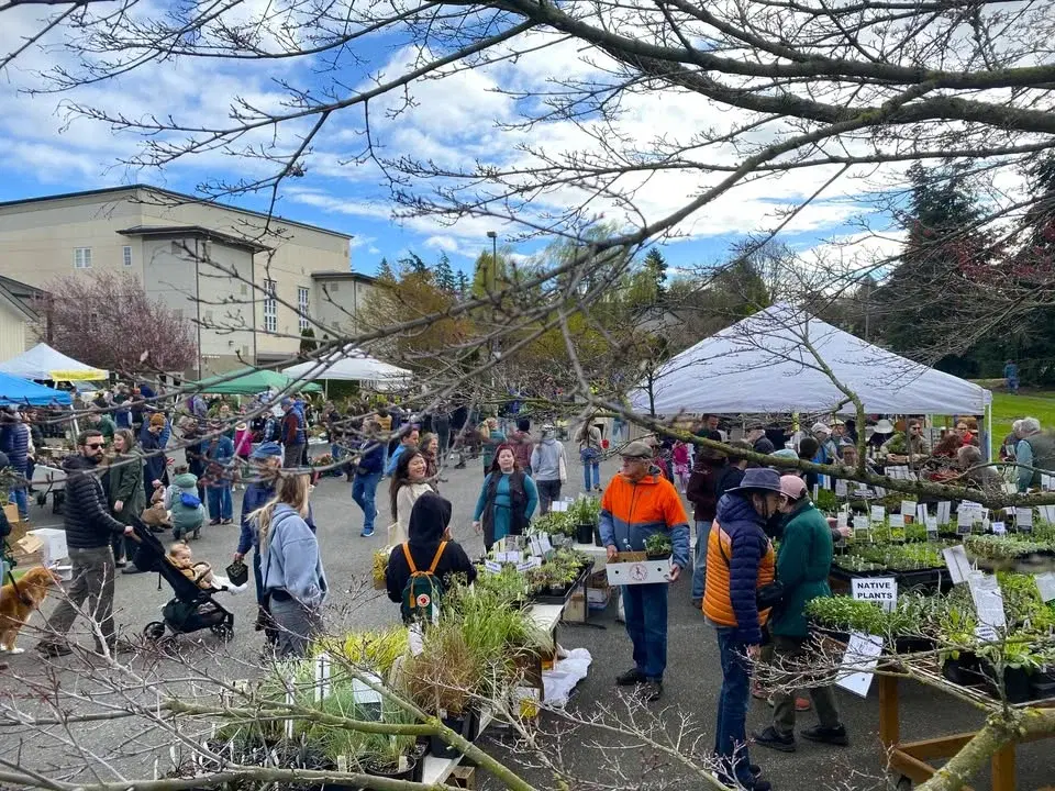 38th Annual Fairhaven Plant and Tree Sale