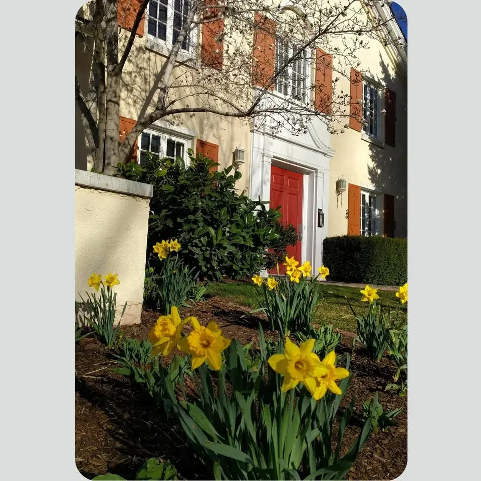 Volunteer Opportunity Memory Grove Annual Cleanup Day