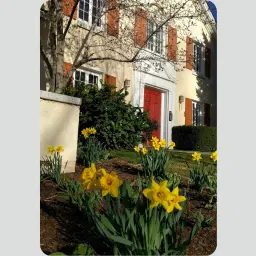 Volunteer Opportunity Memory Grove Annual Cleanup Day