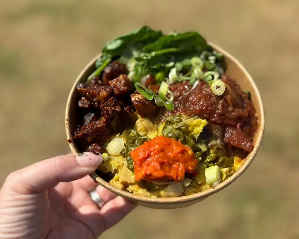 Vegan & Wellness Day