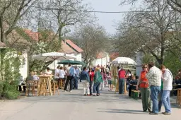 Osterspaziergang "In die Grea geh´n"