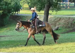 LIZ TRUAX RANCH RIDING CLINIC