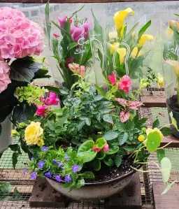 Mother's Day Workshop