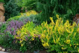 Plant Trials Symposium