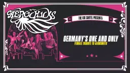 Aerochicks // Barnsley Birdwell Venue