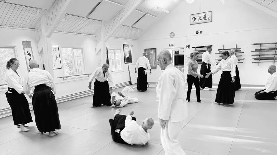 En halvdags introduktion till aikido