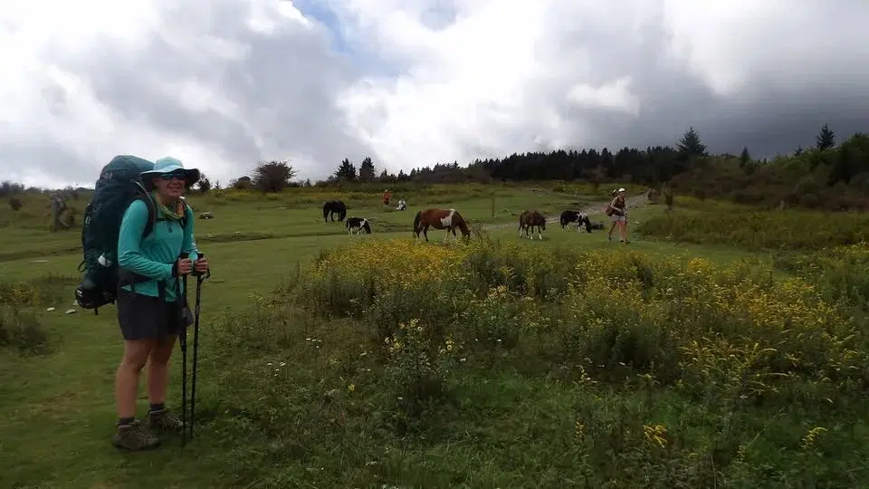 Backpacking 301: Appalachian Trail, Grayson Highlands, VA (16 Miles, Ages 18+)