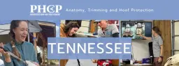 Anatomy, Trimming and Hoof Protection – Tennessee