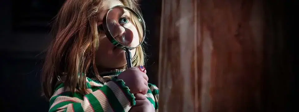 Hjälp Skogsdetektiverna – lös mysteriet!