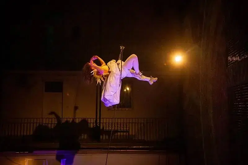 The Flock Project: Eco Flight