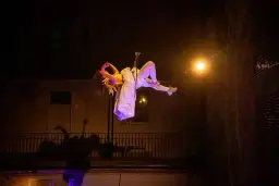 The Flock Project: Eco Flight