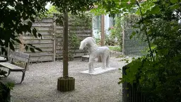 Hästen och grisen: Djurens betydelse i järnålderns Uppåkra