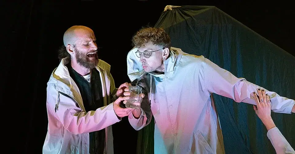 En show om lycka med Cirkus Cirkör