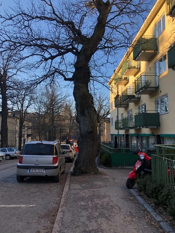 Exklusiv filmvisning! För första gången i Sverige visas dokumentärfilmen Future Council
