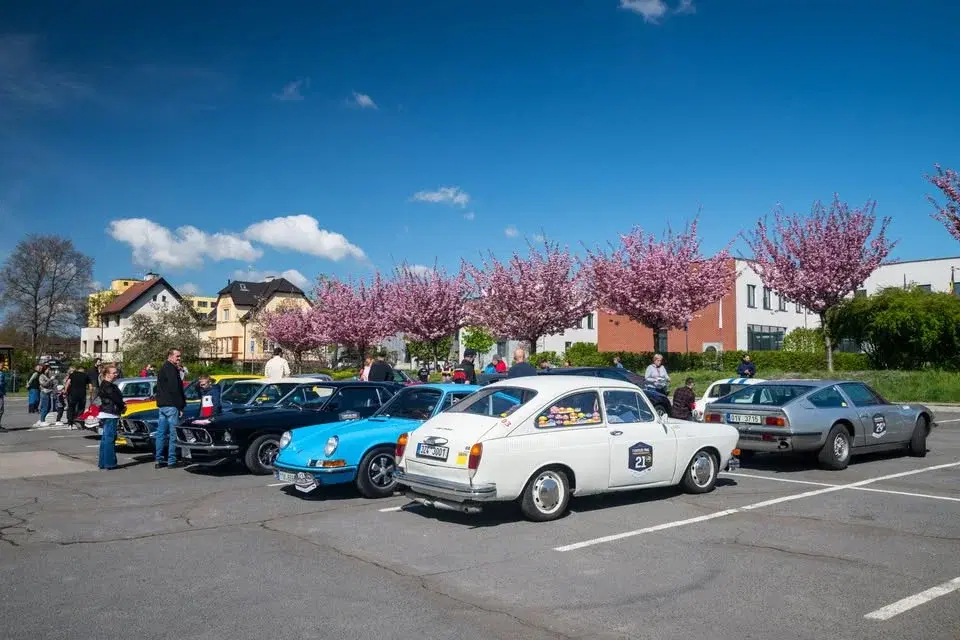 7 Castles Trial 2026