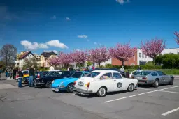 7 Castles Trial 2026