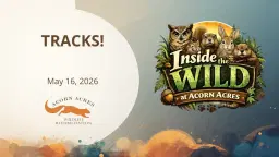 Remake Learning Days - TRACKS!