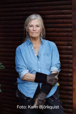 Vildare rosor i en naturlik trädgård