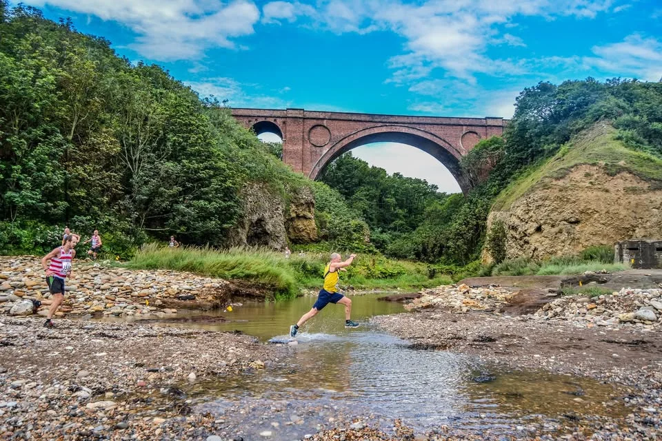 Branches and Bays 5K/10K