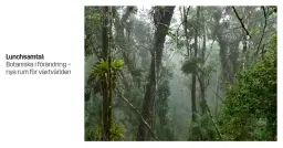 Lunchsamtal: Botaniska i förändring – nya rum för växtvärlden