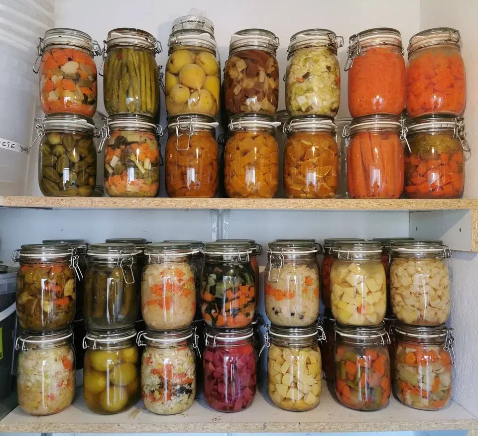 Överlevndsmat och workshop mjölksyra grönsaker