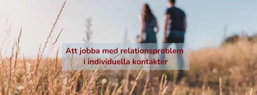 Att jobba med relationsproblem i individuella kontakter