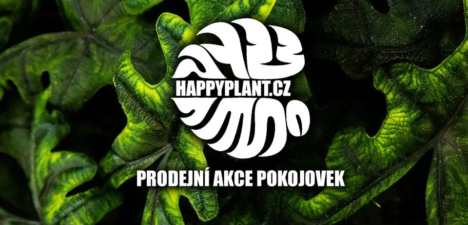 Happyplant