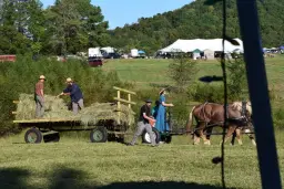 1st Annual Russell Creek Farm & Field Days