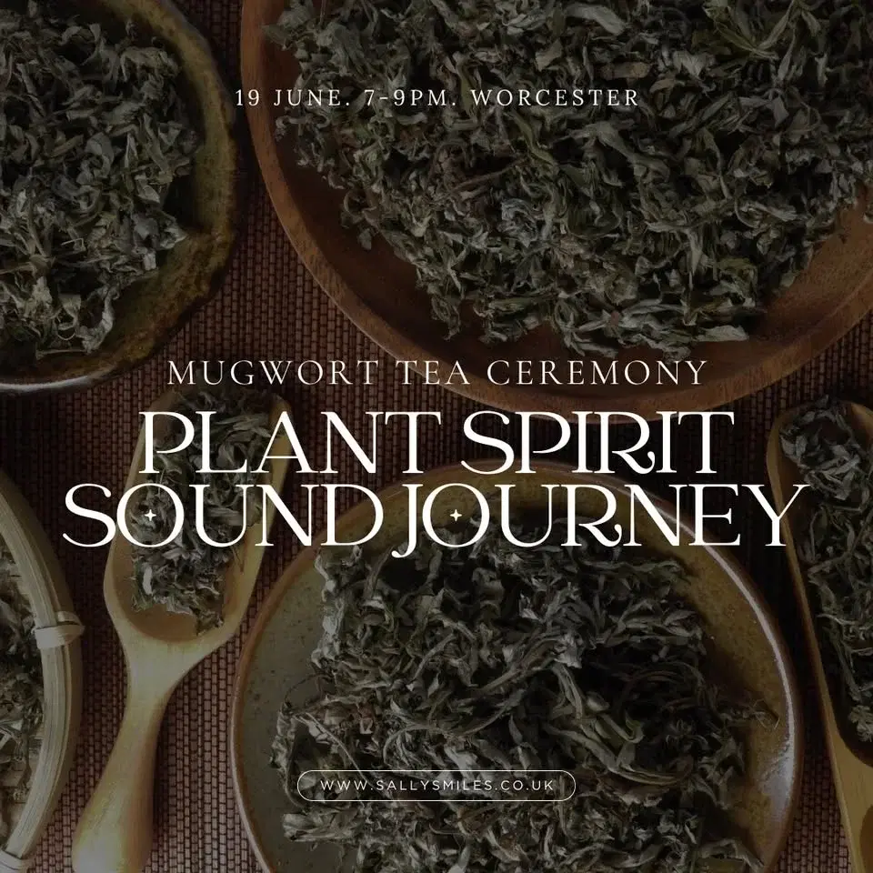 Mugwort Plant Spirit Sound Journey