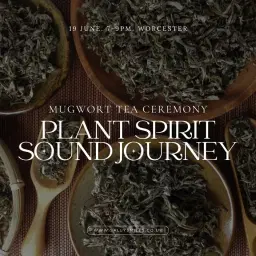 Mugwort Plant Spirit Sound Journey