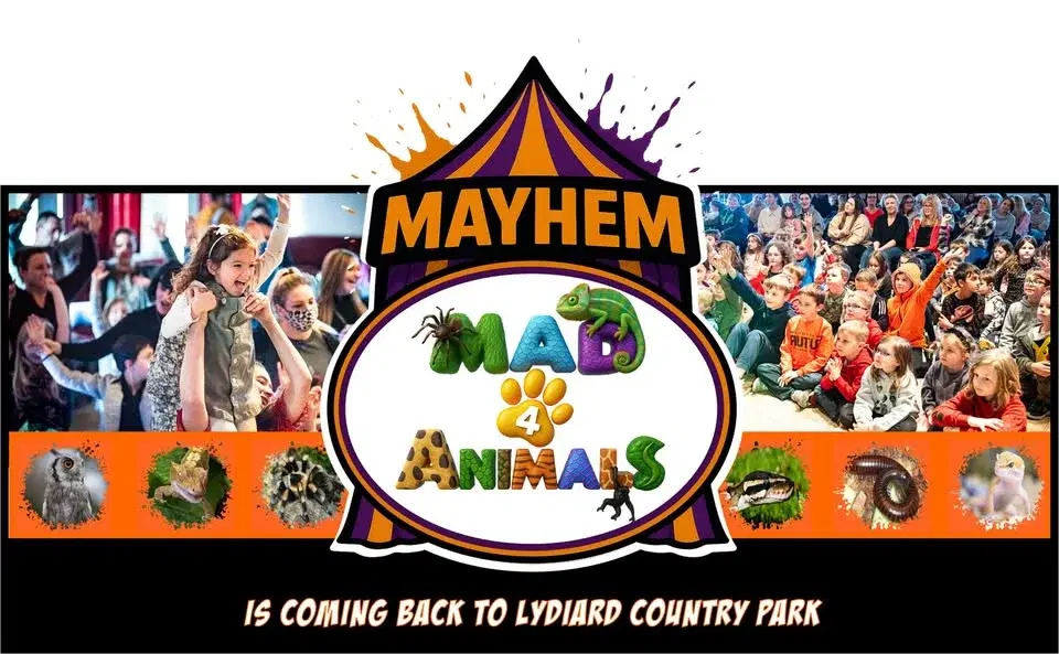Mayhem of Mad4Animals Lydiard Country Park