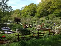 Vintervikens kolonilottsförening: en grönskande arkivhistoria