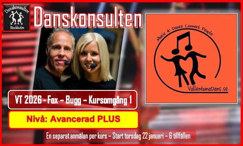 Fox & Bugg Avancerad PLUS med DANSKONSULTEN, VT 2026 Kursomgång 1