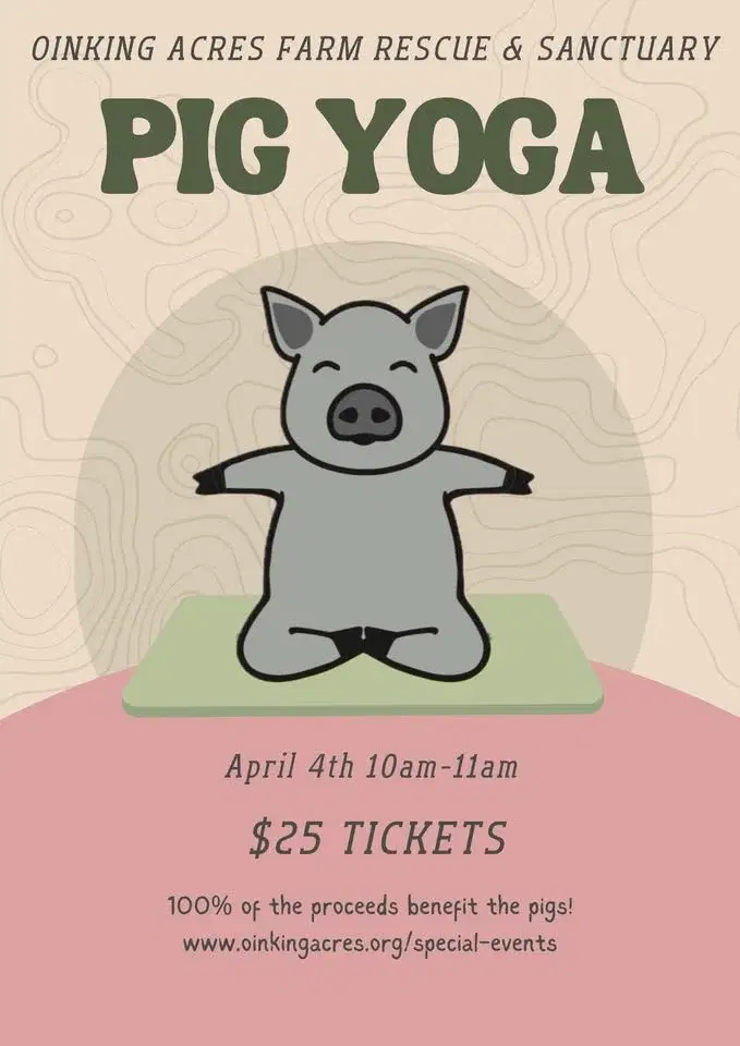 Pig Yoga