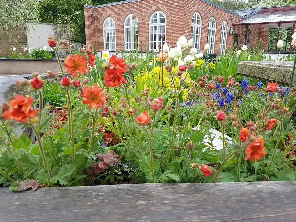 Vårmarknad i Hälsoträdgården