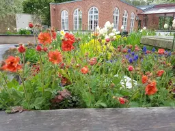 Vårmarknad i Hälsoträdgården