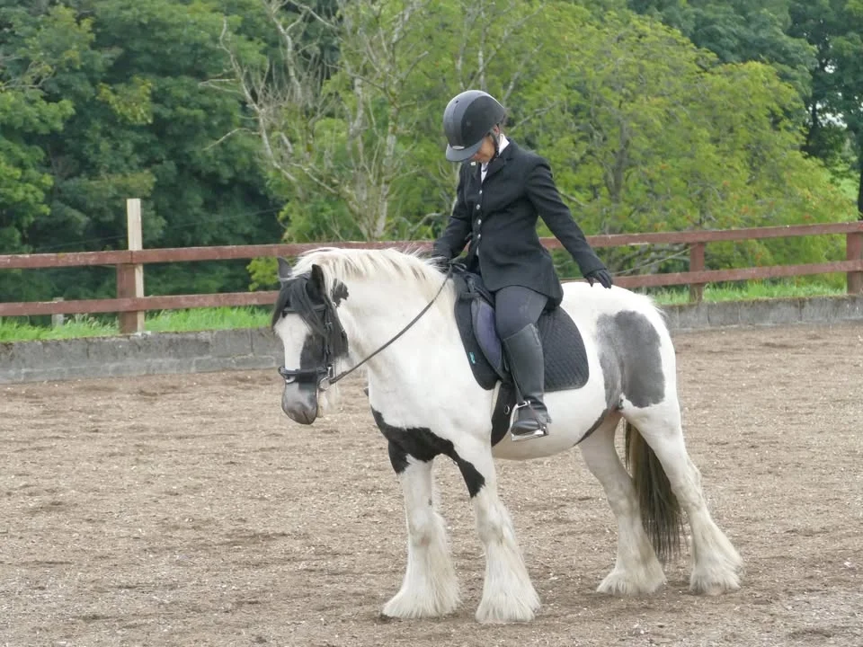 Dressage Series 4 - July 2026