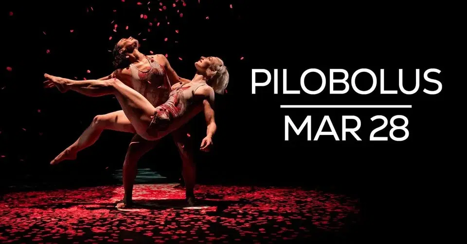 Pilobolus: Other Worlds Collection