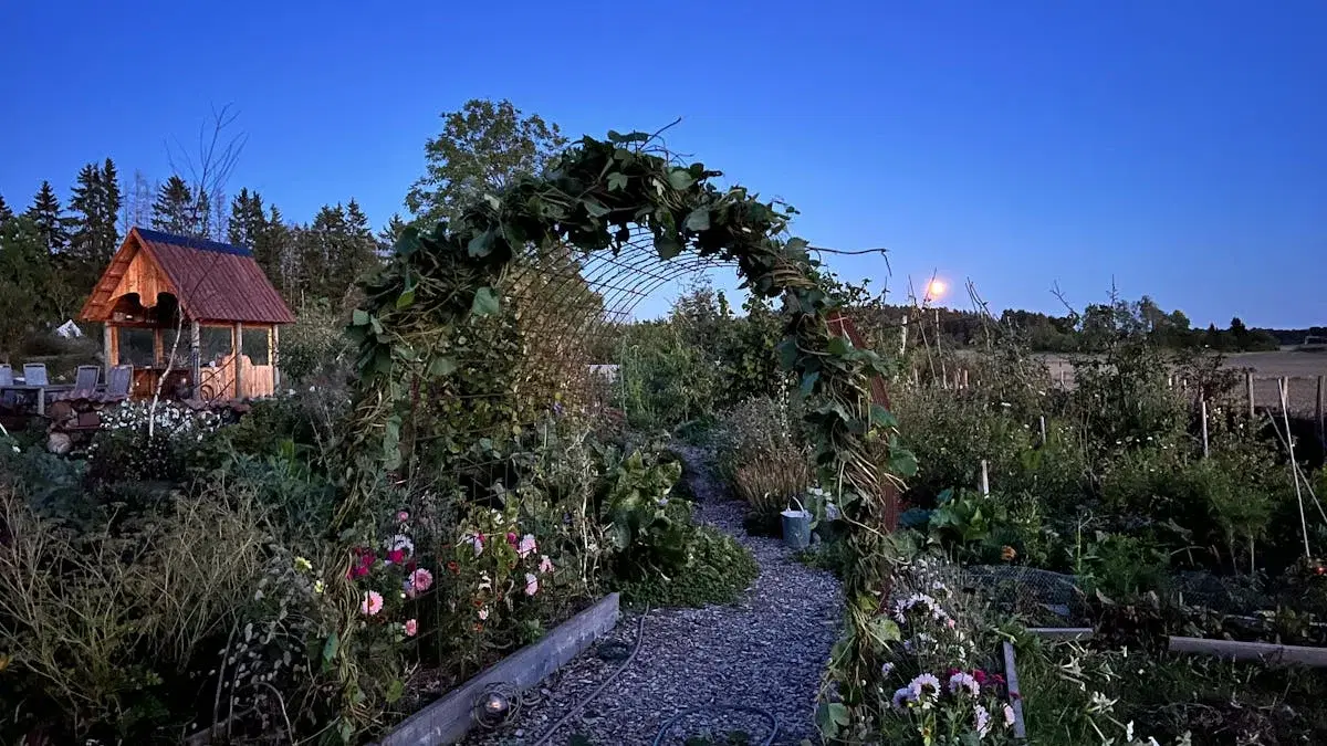 Guidning i Matskogen