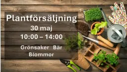 Plantpremiär & försäljning