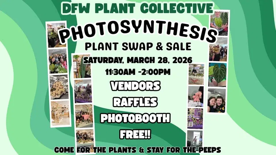 DFW Plant Collective PHOTOSYNTHESIS Swap & Sale