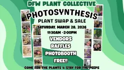 DFW Plant Collective PHOTOSYNTHESIS Swap & Sale