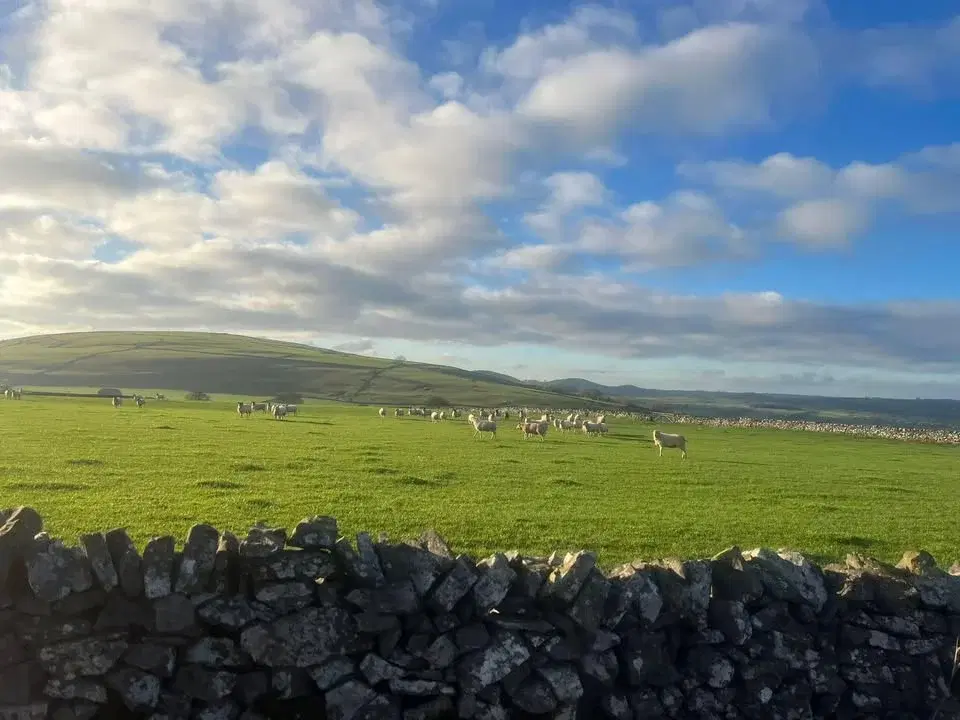 Barlow Carnival Not Quite 10K 2026