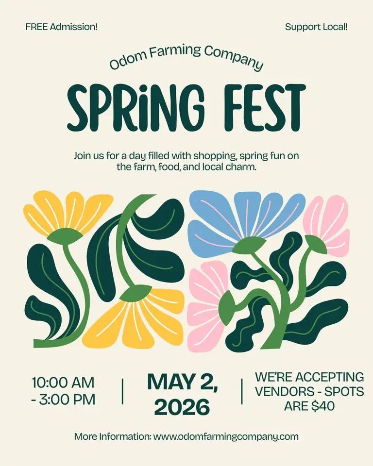 Spring Fest 2026
