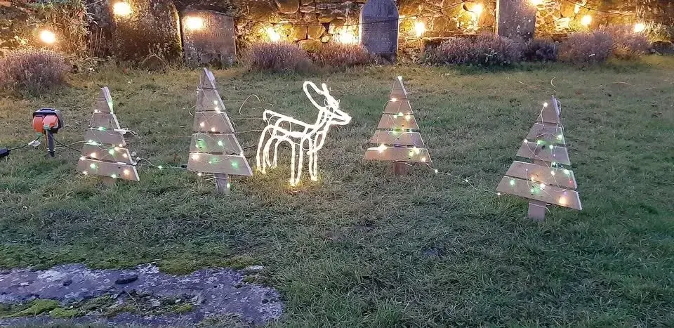 Christmas tree festival