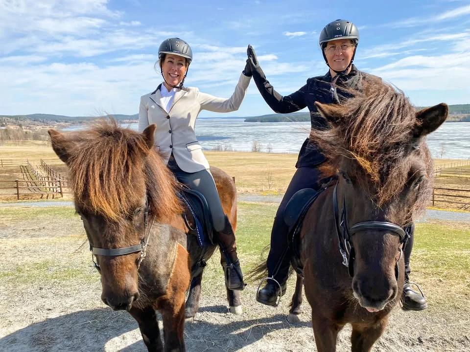 Clinic med hippologprogrammet på Eurohorse