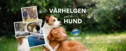 Bästa helgen för alla hundägare - möt våren tillsammans med din hund & likasinnade!