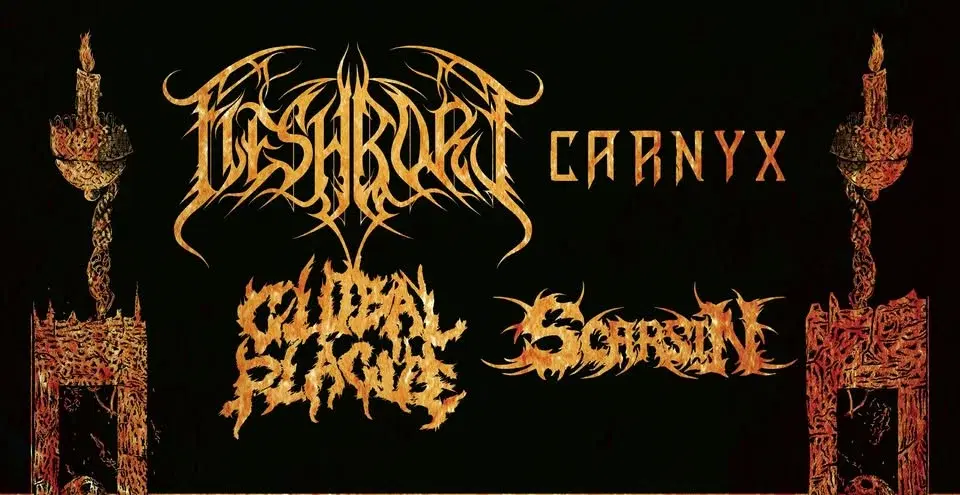 Fleshbore, Carnyx, Global Plague, Scarsin LIVE at Shenanigans