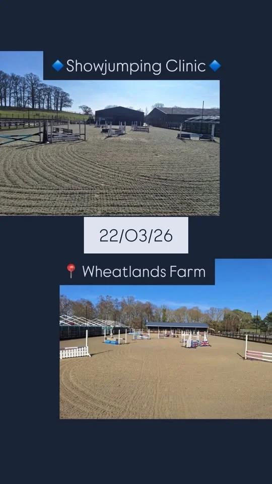 Showjumping Clinic