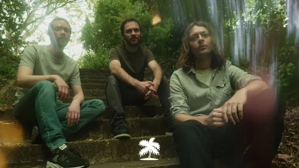 Mammal Hands | Hamburg